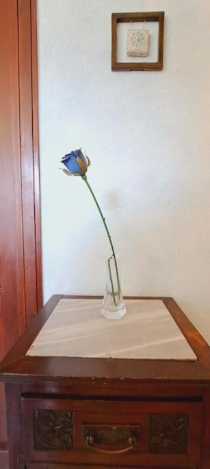 Odeonhouse - Catania - Parking Included Apartment Exterior photo